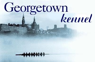 Georgetown kennel